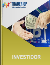 Investidor